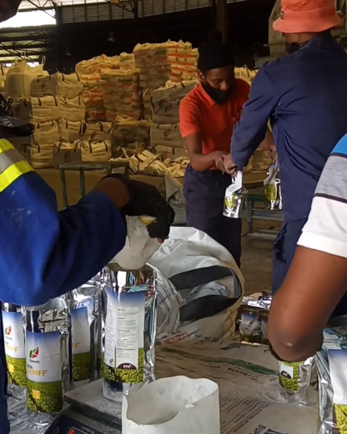 Workers weighing and handling recovered fertilizer during the Mombasa fertilizer recovery project in Kenya